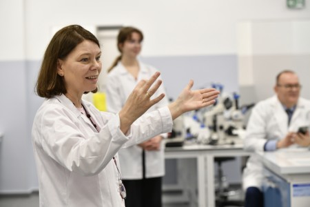 Kliknij, aby powiększyć zdjęcie.